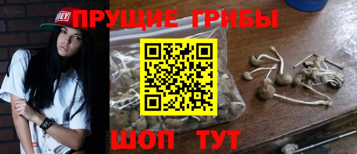 Галлюциногенные грибы мухоморы  Вход с VPN  Тольятти 